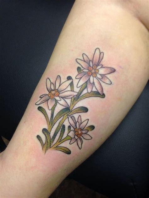 Image result for edelweiss tattoo | Edelweiss tattoo, Tattoos, Flower ...