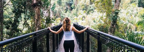 Tamborine Rainforest Skywalk on Mt Tamborine | Hello Gold Coast