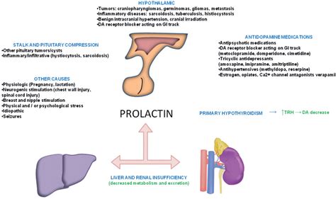 Pituitary Surgery | Neupsy Key