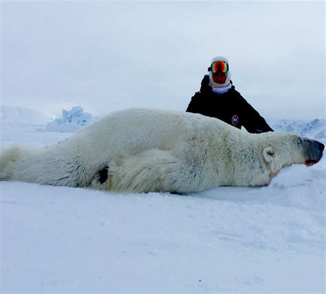 Canadian Arctic Polar Bear Hunt - Ameri-Cana Expeditions