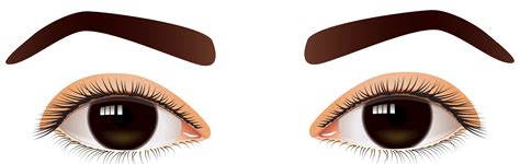 Brown eyes clipart 20 free Cliparts | Download images on Clipground 2024