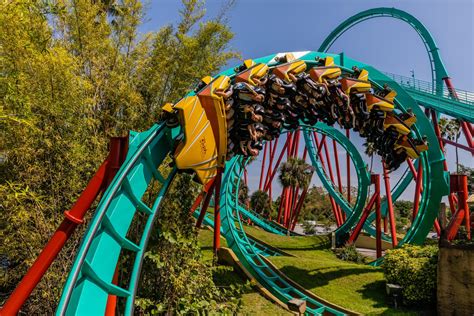 Kumba Roller Coaster - Busch Gardens Tampa Bay : r/tampa