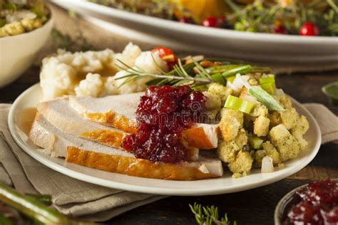 Homemade Thanksgiving Turkey on a Plate Stock Photo - Image of gravy ...