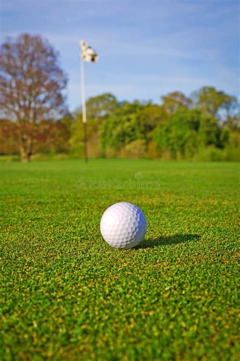 Golf green with flag stock image. Image of elder, business - 2158263