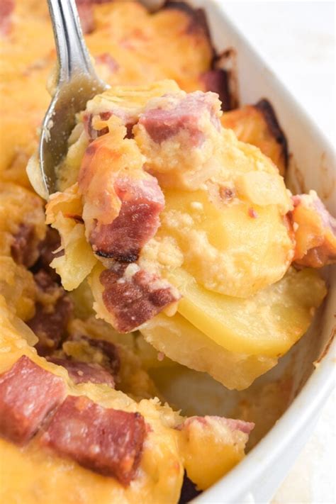 Cheesy Ham and Potato Casserole - 40 Aprons