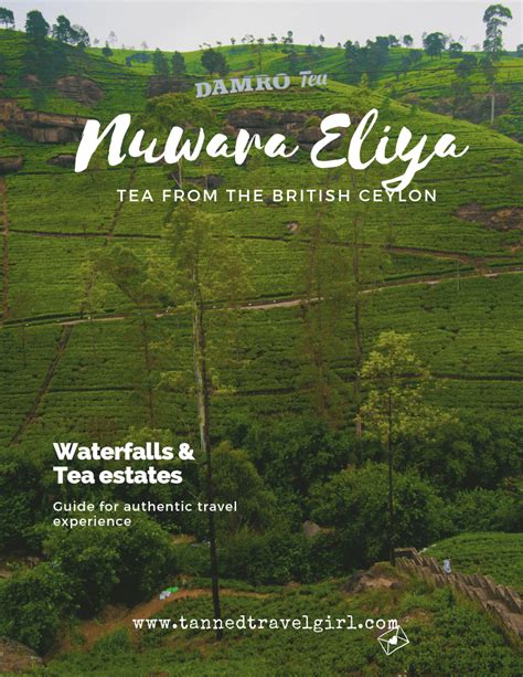 Nuwara Eliya: Tea Estates and Waterfalls (2019 Travel Guide ...