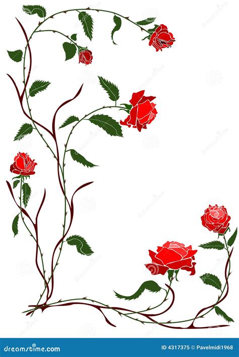 Red rose vine stock vector. Illustration of paint, computer - 4317375