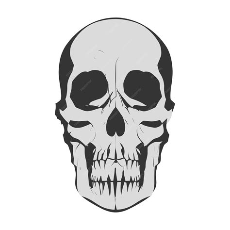 Premium Vector | Free vector vintage human skull concept halloween ...