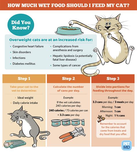 How to Calculate How Much Wet Food to Feed a Cat | PetMD