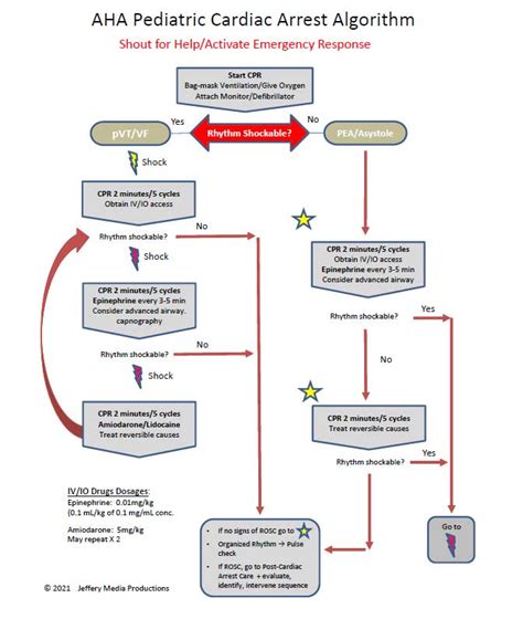 Ventricular fibrillation | ACLS-Algorithms.com