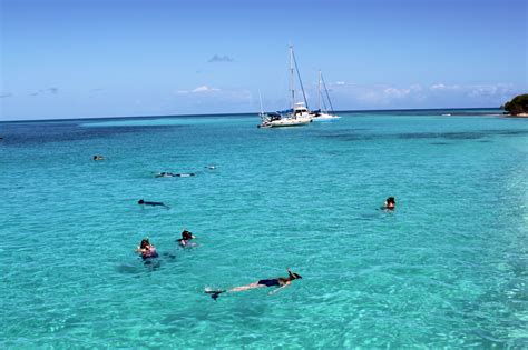 Buck Island, St Croix snorkel trip | St. croix, Trip, Snorkeling