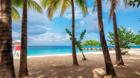 Montego Bay vacation packages from C$ 1,129 | KAYAK