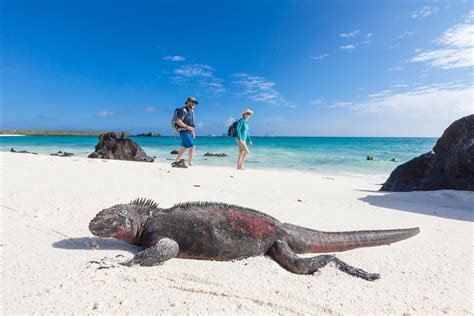 Galapagos Island Tours 2024 - Ashil Lurlene