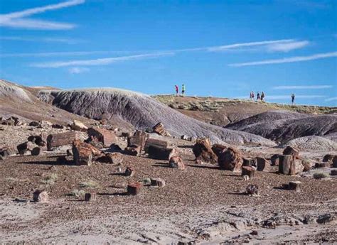 Petrified Forest Photos to Inspire a Visit | Hike Bike Travel