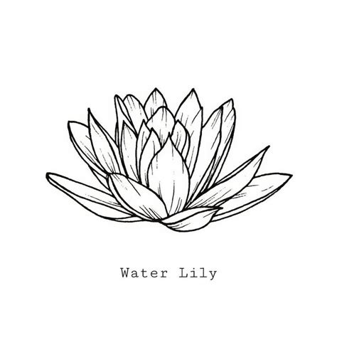 Small Water Lily Flower Tattoo - July Birth Flower Tattoos: Water Lily ...