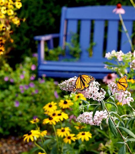 15 Easy Butterfly Garden Ideas & Butterfly Garden Guide