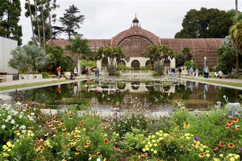 Are Dogs Allowed In Balboa Park Museums