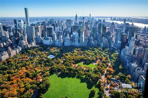 New York City Skyline, Central Park by Dszc