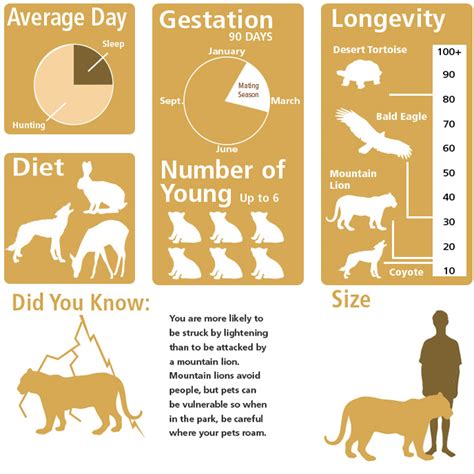 Mountain Lion Habitat Map