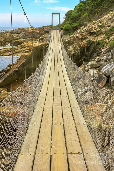 Tsitsikamma Suspension Bridge Photograph by Benny Marty - Pixels