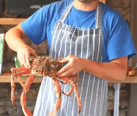 How to cook and prepare a spider crab - Tom's Feast