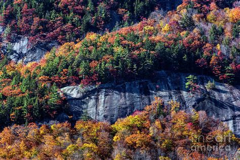 White Mountains National Forest Photograph by John Greim - Fine Art America