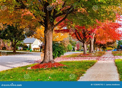 Suburban Neighborhood Sidewalk and Street in Autumn Stock Image - Image ...