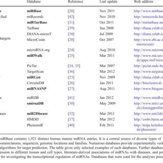 Overview of different types of microRNA databases | Download Table