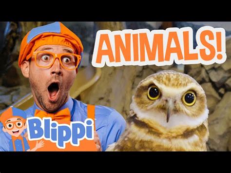 Blippi Feeds and Plays with Animals at the Zoo! | Blippi Full Episodes ...