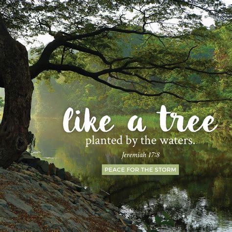 bible verses about trees planted by the water - Vena Neuman