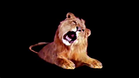 Leo The Lion Footage (1994) | Movie studios, Lion, Mgm