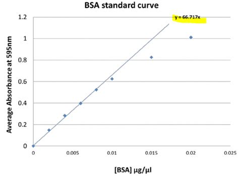 Bradford Assay Standard Curve