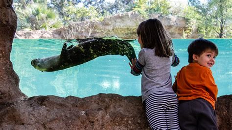 Central Florida Zoo offering free admission to kids during September