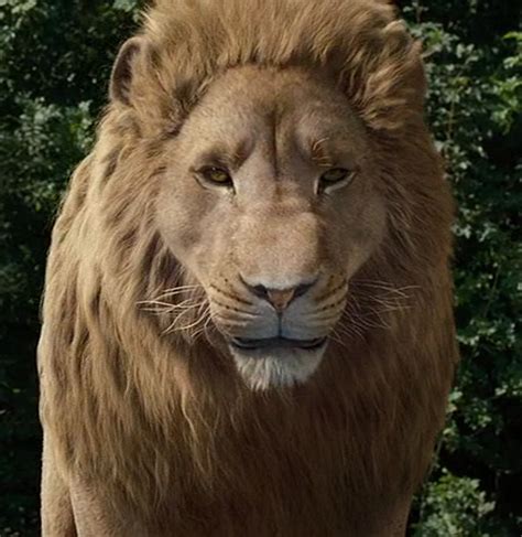 Aslan | Chronicles of Narnia Fanon Wiki | Fandom powered by Wikia