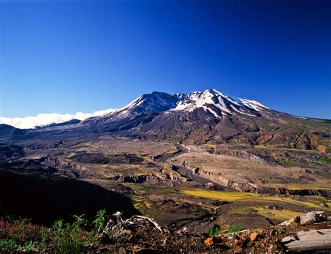 The 1980 eruption of Mount St. Helens Photos | Image #91 - ABC News