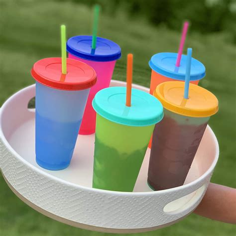 NOGIS 5 Pack – 24 oz Color Changing Cups with Straws and Lids for Kids ...