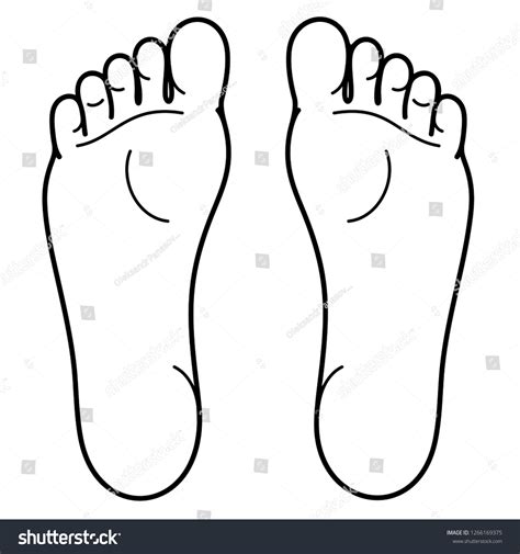 Foot Anatomy Drawing Stock Photos - 5,261 Images | Shutterstock