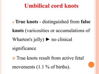 Umbilical cord | PPT