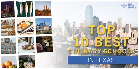 Top 10 Best Culinary Schools in Texas 2021 - Best Choice Schools