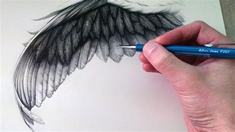 Feather Drawing, Wings Drawing, Angel Drawing, Wings Art, Owls Drawing ...