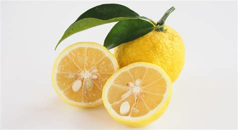 What is Yuzu Fruit: Health Benefits | HealthNews