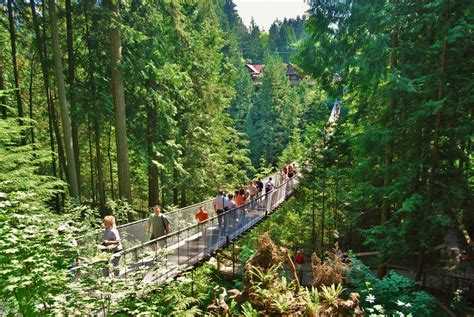 11 popular Vancouver tourist attractions ranked | News