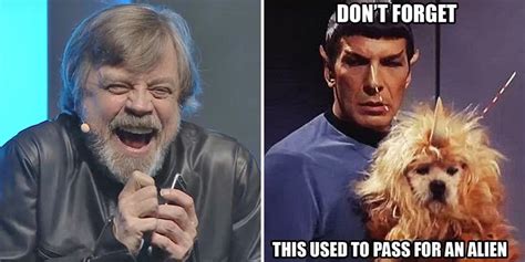 Funny Memes That Show Star Wars Is Better Than Star Trek