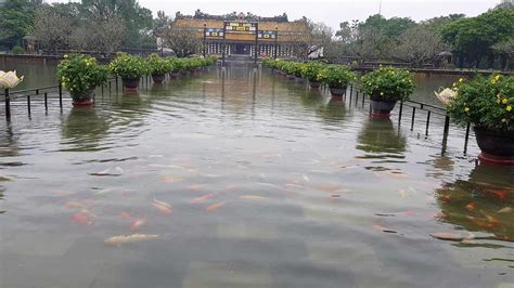 Nhìn Ra Bốn Phương : Đàn cá ngàn con bơi trong nước lũ ở Đại nội Huế