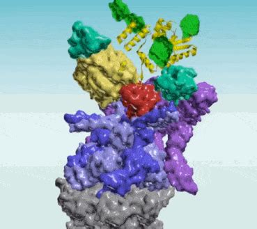 Protein GIF by Harvard Medical School - Find & Share on GIPHY