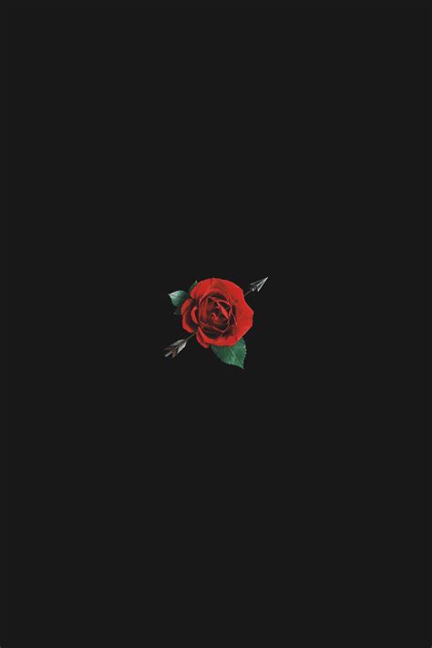 Black Rose Aesthetic Wallpapers - Top Free Black Rose Aesthetic ...