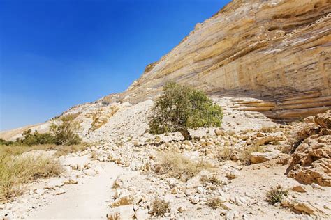 Negev desert stock photo. Image of colorful, walk, cliffs - 45299866