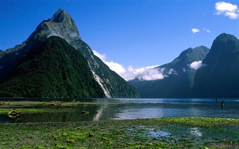 Milford Sound, New Zealand: Traces of The Sea in The Green Valley of ...