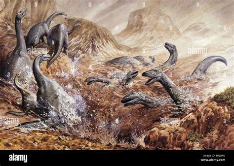 Palaeozoology - Triassic period - Dinosaurs - Plateosaurus - Art work ...