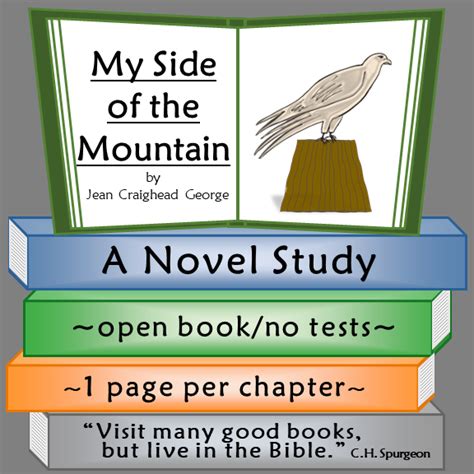 My Side of the Mountain Novel Study | Made By Teachers